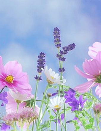 Ruth L McGuire Obituary